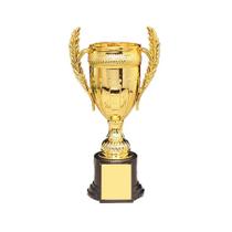 Troféu De Futebol Infantil Prêmios Modelo De Plástico Vencedor Prêmio Brinquedo Pequeno Troféu Para