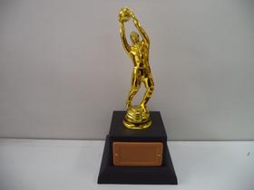 Troféu de goleiro menos vazado (24 cm). Troféu de goleiro menos vazado (24 cm).