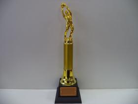 Troféu de goleiro menos vazado (40 cm).