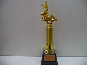 Troféu de judô (43 cm). Troféu de judô (43 cm).