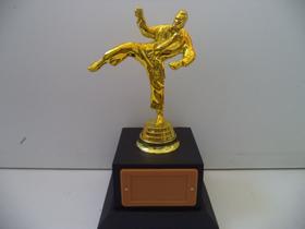 Troféu de karatê (20 cm).