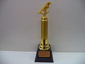 Troféu de pássaro (35 cm).