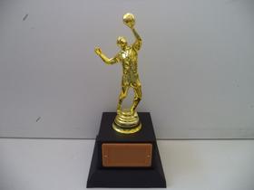 Troféu de vôlei (23 cm). Troféu de vôlei (23 cm).