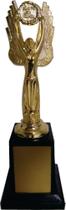 Troféu Honra ao Mérito 20 cm