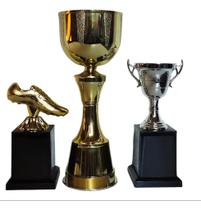 Trofeu Modelo Calice + 2 Premiações De Esportes Individual - Brasil Gold