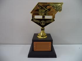Troféu para jogo de sinuca (22 cm).