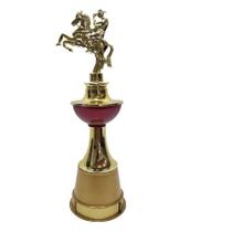 Trofeu Premiação Individual Todos Esportes Barato - Brasil Gold