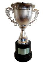Trofeu Taça Prata Modelo Grande Destaque No Campeonato - Brasil Gold