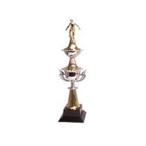 Troféu Vics 311