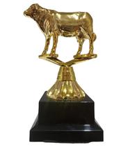 Troféu Vitória 16cm Vencedor 600023 Troféu Vitória 16cm Vencedor 600023