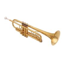 Trompete SHELTER - SFT6418L