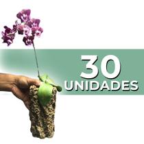 Tronco para orquídeas, OCO KIT COM 50 UNIDADES