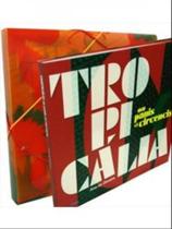 Tropicalia ou panis et circencis