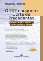 TST enquanto corte de precedentes, O: Paradigmas de Cortes Supremas TST enquanto corte de precedentes, O: Paradigmas de Cortes Supremas