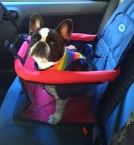 Tubline assento cadeira cadeirinha banco pets transporte carro rosa