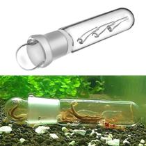 Tubo de armadilha de planária para aquário marinho e doce Tubo de armadilha de planária para aquário marinho e doce