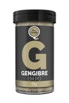 Tubo Gengibre Em Pó - Meu Gosto - 25G