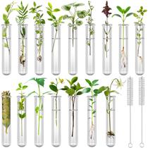 Tubos para propagação de plantas XGHSHW, 16 peças, 20 ml, plástico transparente Tubos para propagação de plantas XGHSHW, 16 peças, 20 ml, plástico transparente