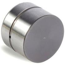 Tucho hidráulico Volkswagen Golf 1992 a 2014 INA 420 0043 10