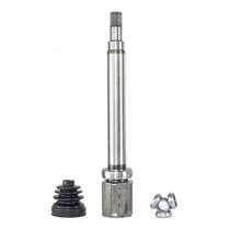 Tulipa Focus (direito) Tulipa Focus (direito)