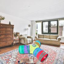 Túnel Interativo Colorido Para Gatos em Y Túnel Interativo Colorido Para Gatos em Y