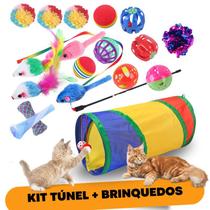 Túnel para gato brinquedo interativo filhotes - DualPet