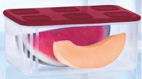 Tupperfresh Retangular 2,5 litros tampa Marsala Tupperware