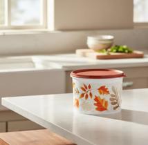 Tupperware Caixa 1,1L