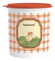 Tupperware Caixa 3,7 Litros Roça.