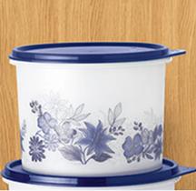 Tupperware caixa aquarela 1.7 l