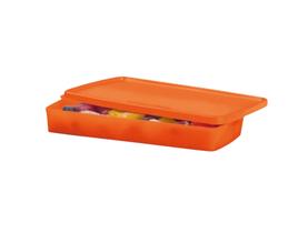 Tupperware Caixa Ideal Baixa 600ml