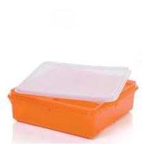 Tupperware Caixa Versátil 2,5l Laranja