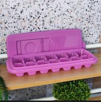 Tupperware forma para fazer gelo 14 cubos