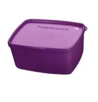 Tupperware Freezer congelamento jeitosinho 400 ml