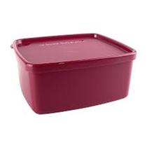 Tupperware Freezer congelamento jeitosinho 400 ml