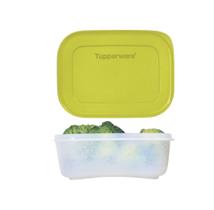 Tupperware Freezer Line 450ml