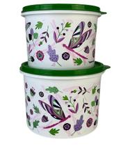 Tupperware Kit 2 Peças Caixas 1,1L E 1,7L Libélulas