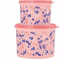 Tupperware Kit Caixa Jardim Das Mães Coral 2 peças