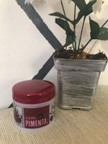 Tupperware porta tempero pimenta de mesa mestre churrasco Tupperware porta tempero pimenta de mesa mestre churrasco