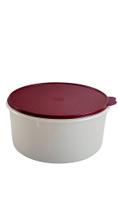 Tupperware Porta Tudo 10 Litros - Transparente com Tampa Marsala
