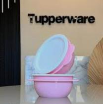 Tupperware pote instantânea 400 ml tosa bebê