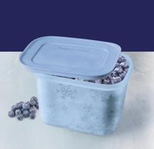 Tupperware pote para congelar porções freezer line 1,1 litros gelo