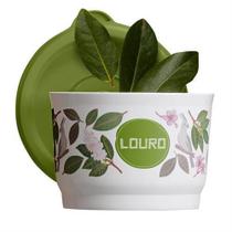 Tupperware Potinho Tempero Louro Floral 140ml