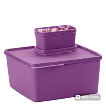 TUPPERWARE QUADRADA BASIC LINE kit 2 PEÇAS AMORA