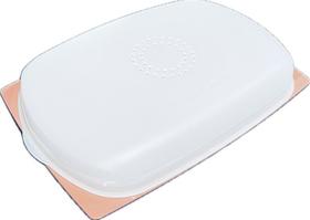Tupperware Queijeira Retangular Baixa