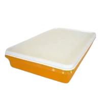 Tupperware Refri Box 1,5 Litros - Amarelo com Tampa Branca Tupperware Refri Box 1,5 Litros - Amarelo com Tampa Branca