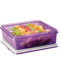 Tupperware retangular