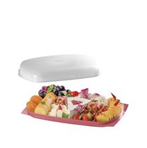 Tupperware Smart Queijeira Retangular Baixa