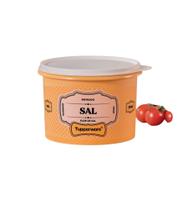 Tupperware Tupper Caixa de Sal 1,1L Tupperware Tupper Caixa de Sal 1,1L