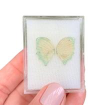 Turmalina Bicolor Placa Borboleta Par 5,69ct Turmalina Bicolor Placa Borboleta Par 5,69ct